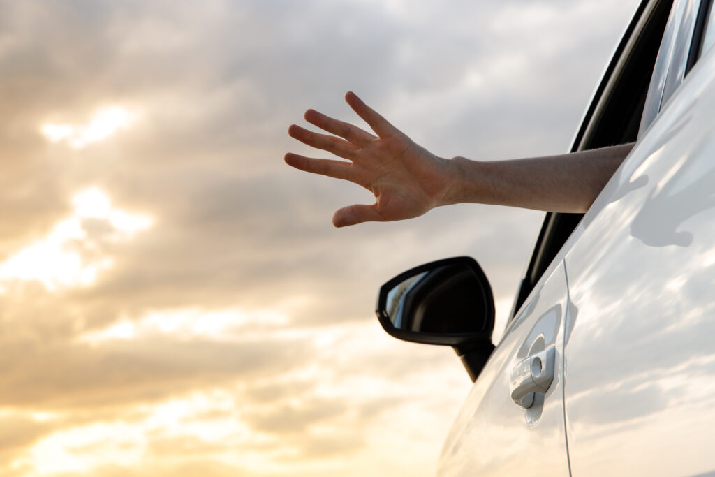 Hand Signals for Driving